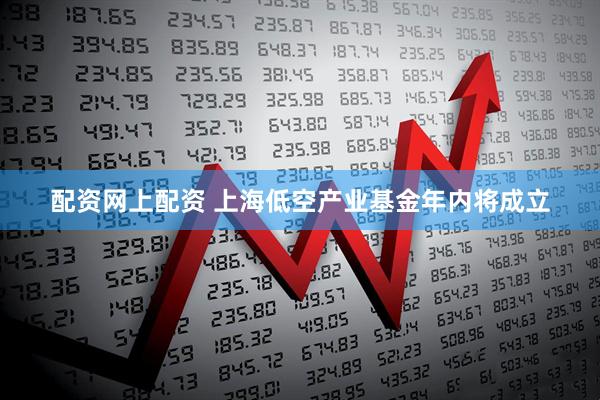 配资网上配资 上海低空产业基金年内将成立